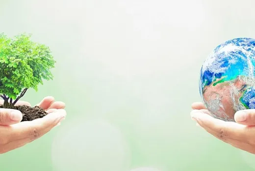 Eco-Certificări: Garanția durabilității pe hârtie