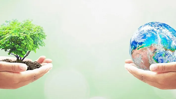 Eco-Certificări: Garanția durabilității pe hârtie