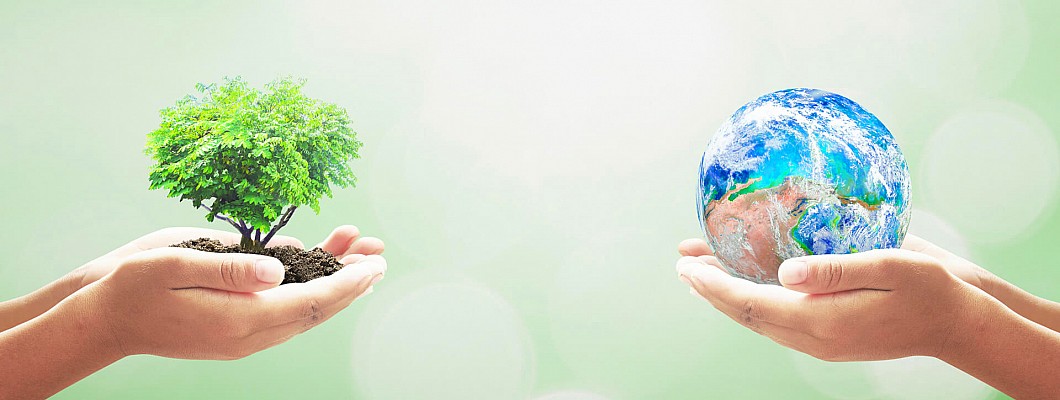 Eco-Certificări: Garanția durabilității pe hârtie