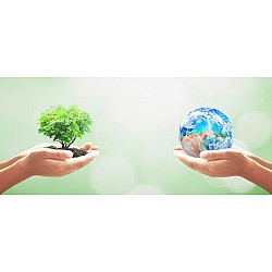 Eco-Certificări: Garanția durabilității pe hârtie