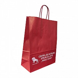 Pungă Premium Vișinie / Bordeaux Imprimată cu Logo 25x11x31 cm