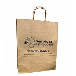 Sacoșă Hârtie Natur pentru Retail & Cadouri 25x11x31 cm